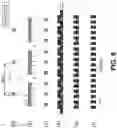 Fig. 08 - Differentiated molecular domains for selective hardmask fabrication and structures resulting therefrom