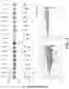 Fig. 05 - Methods for assessing semiconductor structures