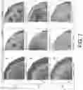 Fig. 08 - Methods for assessing semiconductor structures