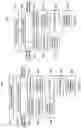 Fig. 05 - Electrical device terminal finishing