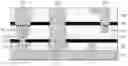 Fig. 01 - Method of forming a straight via profile with precise critical dimension control