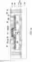 Fig. 05 - Semiconductor package and manufacturing method thereof