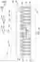 Fig. 12 - Package and manufacturing method thereof