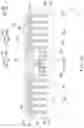 Fig. 22 - Package and manufacturing method thereof