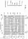 Fig. 06 - Trimmable resistor circuit and method for operating the trimmable resistor circuit