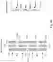 Fig. 13 - Trimmable resistor circuit and method for operating the trimmable resistor circuit