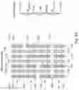 Fig. 15 - Trimmable resistor circuit and method for operating the trimmable resistor circuit