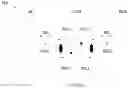 Fig. 01 - Memory cell structure