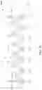 Fig. 04 - Semiconductor device including anti-fuse cell structure