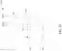 Fig. 19 - Semiconductor device including anti-fuse cell structure