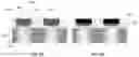 Fig. 09 - Stacked connections in 3D memory and methods of making the same