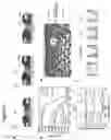 Fig. 09 - Lateral heterojunctions between a first layer and a second layer of transition metal dichalcogenide