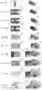 Fig. 11 - Trenched bottom electrode and liftoff based molecular devices
