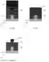 Fig. 48 - Method of manufacturing a semiconductor device