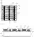 Fig. 02 - High efficiency solar cell and method for manufacturing high efficiency solar cell