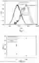 Fig. 04 - DEVICE AND REALIZATION METHOD OF LUMINESCENT SOLAR CONCENTRATORS BASED ON SILICON NANOSTRUCTURES