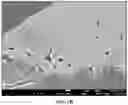 Fig. 06 - ELECTRICAL CONDUCTIVITY BY MICROWAVE SINTERING