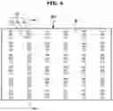 Fig. 05 - Display apparatus and manufacturing method thereof