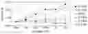 Fig. 01 - Chalcogenide material and electronic device including the same
