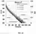 Fig. 10 - ORGANIC ELECTROLUMINESCENCE DEVICE