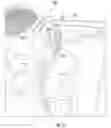 Fig. 16 - ADAPTER FOR BATTERY PACKS