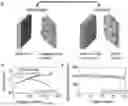 Fig. 01 - ELECTROCHEMICAL CELLS AND METHODS OF MAKING AND USING THEREOF