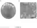 Fig. 10 - ELECTROCHEMICAL CELLS AND METHODS OF MAKING AND USING THEREOF