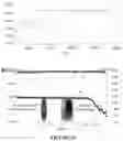 Fig. 23 - ELECTROCHEMICAL CELLS AND METHODS OF MAKING AND USING THEREOF