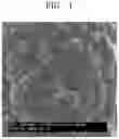 Fig. 02 - Composite cathode active material, and cathode and lithium battery comprising composite cathode active material
