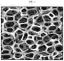 Fig. 02 - Flexible electrode, method for manufacturing the same and secondary battery including the same