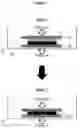 Fig. 02 - Pre-lithiation method of negative electrode for secondary battery
