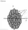 Fig. 02 - Processes for preparing positive electrode active substance for non-aqueous electrolyte secondary batteries