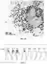 Fig. 06 - Electrode including metal nanoparticles having conductive polymer shell and conductive film and method for manufacturing the same