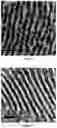 Fig. 08 - Electrode including metal nanoparticles having conductive polymer shell and conductive film and method for manufacturing the same