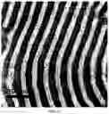 Fig. 09 - Electrode including metal nanoparticles having conductive polymer shell and conductive film and method for manufacturing the same