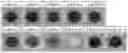 Fig. 01 - Electrically conductive material and electrode material