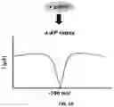 Fig. 03 - METHODS AND COMPOSITIONS FOR GOLD DENDRITE-BASED BIOSENSORS