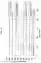 Fig. 17 - Partition member and assembled battery