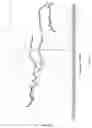 Fig. 12 - Antenna module and mobile terminal
