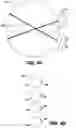 Fig. 05 - Lensed antennas for use in cellular and other communications systems