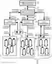 Fig. 01 - Hierarchical operational control of aggregated load management resources