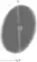Fig. 12 - CAPACITIVE ALTERNATOR