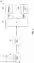 Fig. 04 - Reconfigurable LNA design for FR front end