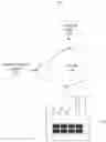 Fig. 01 - Protocol-independent anomaly detection
