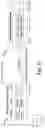 Fig. 03 - Secure networking protocol optimization via NIC hardware offloading