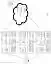 Fig. 02 - High availability voice over internet protocol telephony