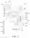 Fig. 05 - Functional assembly and electronic device
