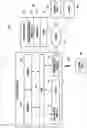 Fig. 02 - Electronic device