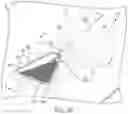 Fig. 28 - Exterior viewing camera module for vehicle vision system