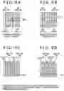 Fig. 09 - Solid-state imaging element and camera system